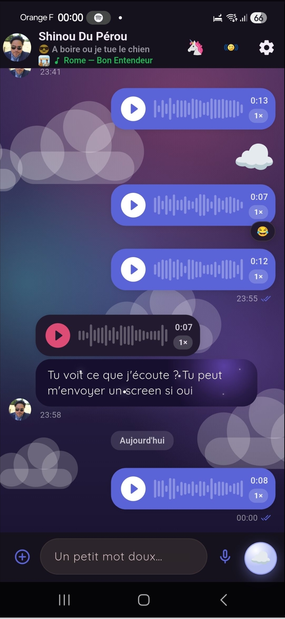 Écran 15